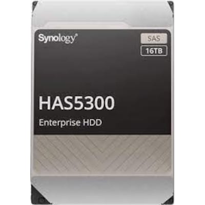 Synology HAS5310-20T - 20 TB 7200 rpm 512 MB 3
